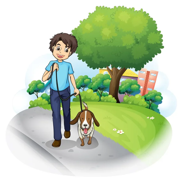 A boy with a dog walking along the street — Stock Vector