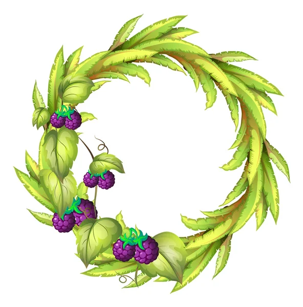 紫の漿果を持つ円形フレーム — ストックベクタ