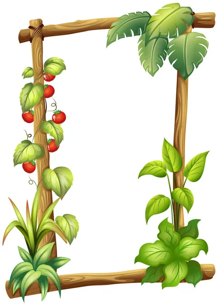 Bitkiler ile bir kare — Stok Vektör