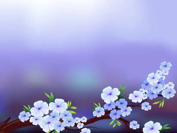 花が咲くとひな形デザイン — ストックベクタ