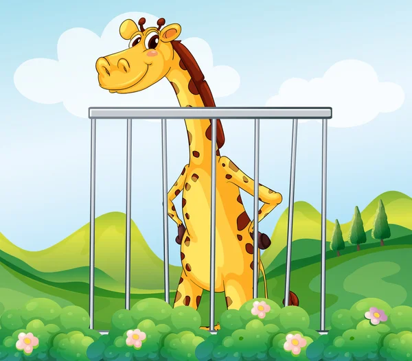 A giraffe inside the cage — Stock Vector