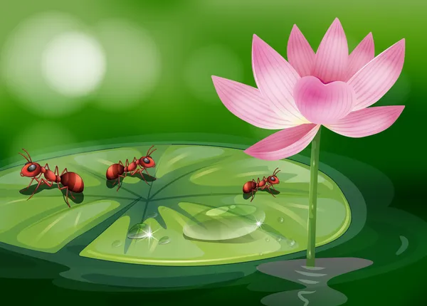 De drie mieren boven de waterlily plant — Stockvector