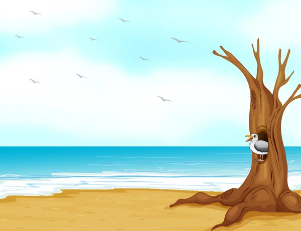 A bird inside the tree hollow at the seashore — Stock Vector