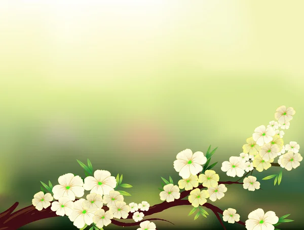 Une papeterie aux fleurs blanches fraîches — Image vectorielle