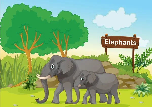 两个灰色大象附近的木制标牌 — 图库矢量图片