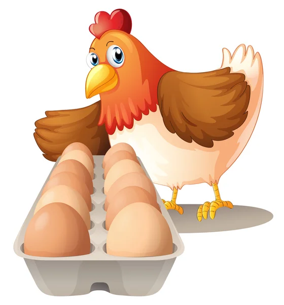 Uma galinha com seus ovos em uma bandeja — Vetor de Stock