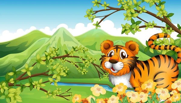 A tiger in the mountain near the flowing river — Stock Vector