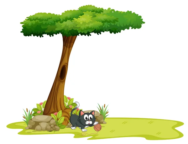 Bir ağacın altında oyuk ile oynayan kedi — Stok Vektör