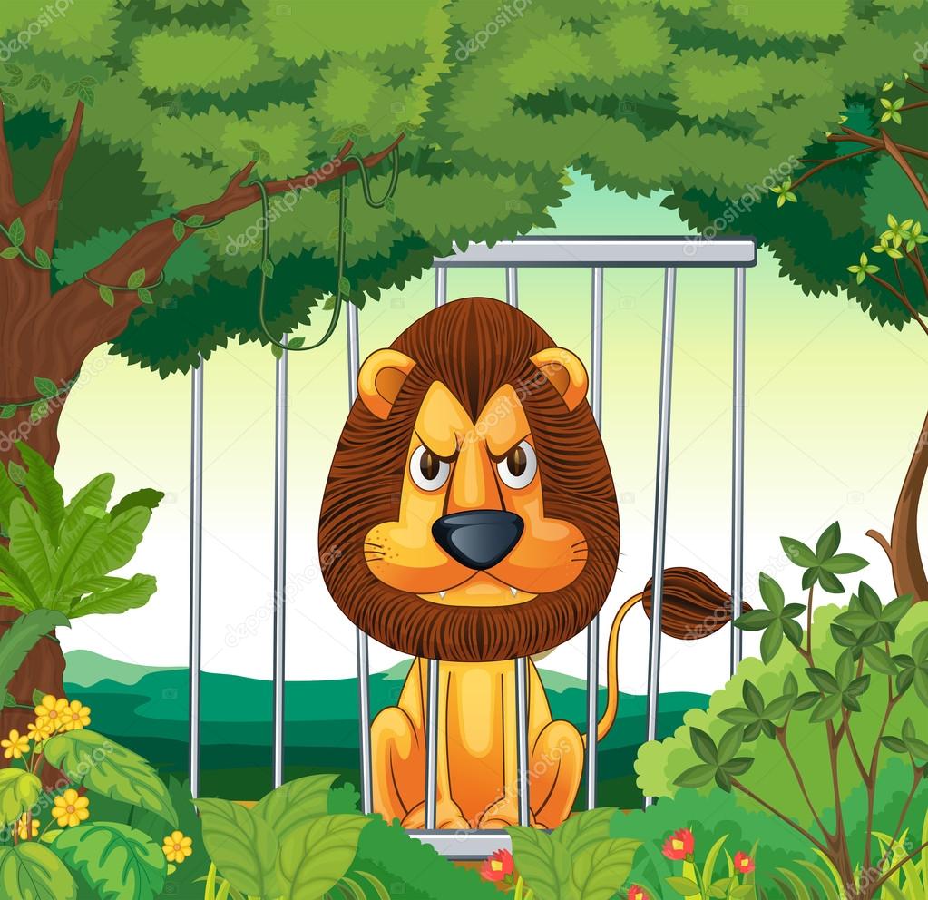 an angry lion inside a cage | 图库矢量图片 08 matthew cole