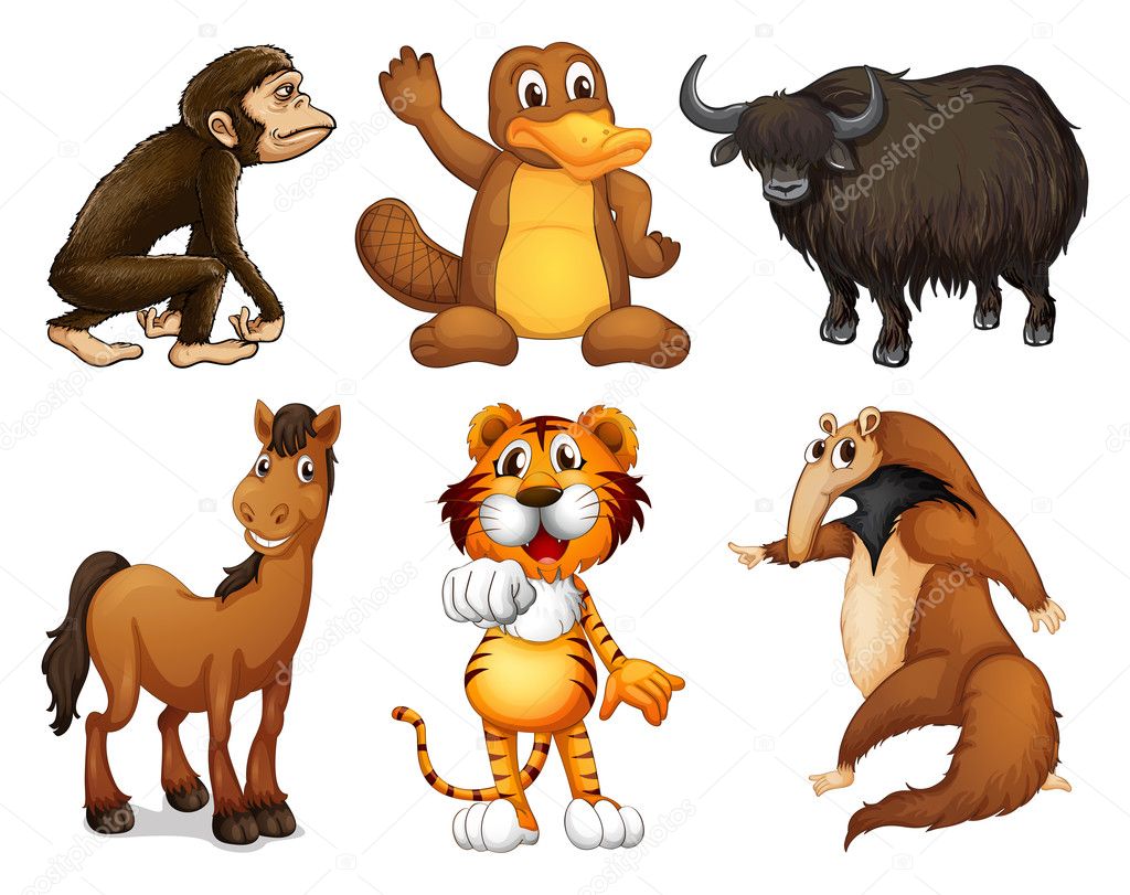 Six different kinds of four-legged animals Stock Vector Image by  ©interactimages #22822372