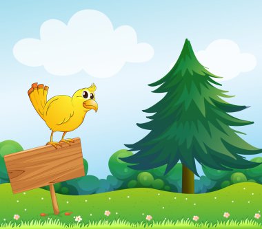 boş bir ahşap tabela üstündeki, sarı bir kuş