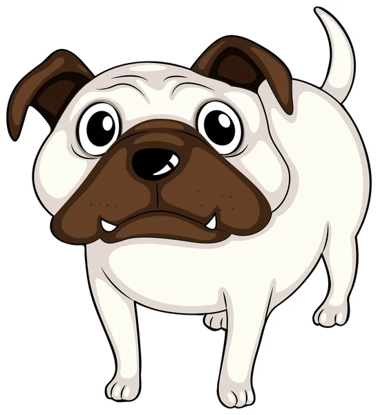 Un bulldog blanco — Archivo Imágenes Vectoriales