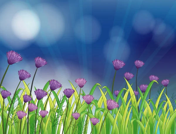 Ένας κήπος με φρέσκα λουλούδια βιολετί — Διανυσματικό Αρχείο