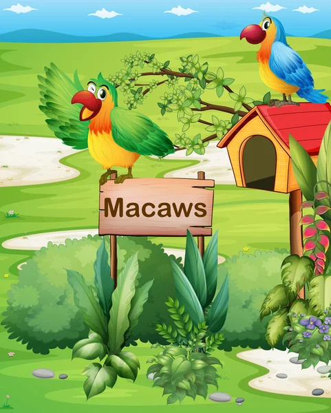 Twee kleurrijke papegaaien boven een uithangbord en een pethouse — Stockvector