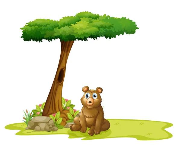 A tree with a hollow at the back of a bear — Stock Vector