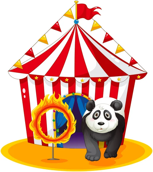 Un panda accanto alla palla di fuoco — Vettoriale Stock