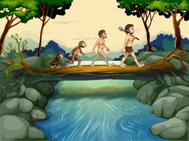 The evolution of man at the river