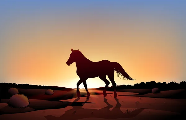 Um cavalo em um cenário de pôr do sol no deserto — Vetor de Stock