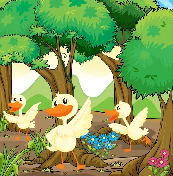 Three white ducks in the middle of the woods — Stock Vector