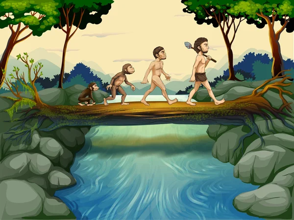 The evolution of man at the river — Stock Vector