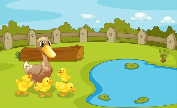 Ducks near the small pond — Stock Vector