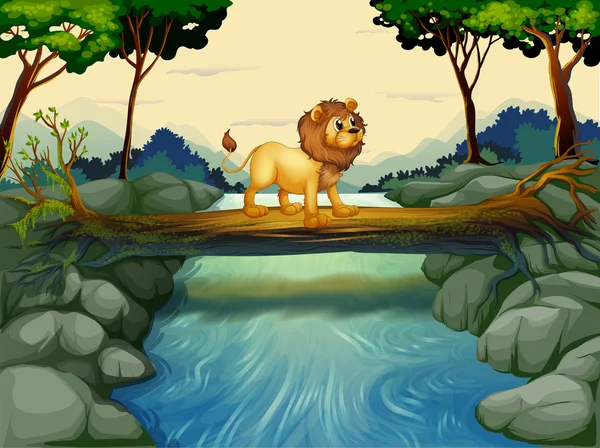 Um leão atravessando o rio —  Vetores de Stock