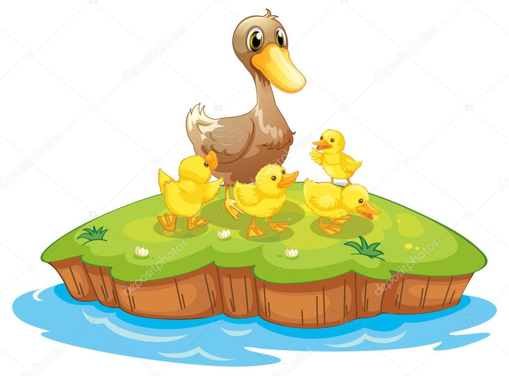 Five ducks in an island