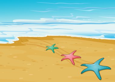 Üç renkli starfishes Beach