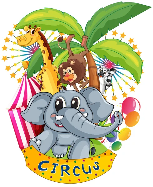 Animals in the circus — Stock Vector