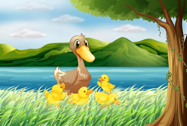 Cinco patos en la orilla del río — Vector de stock