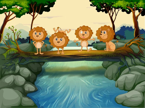 Quatro leões jovens no rio — Vetor de Stock