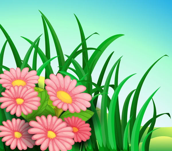 Pembe çiçekli bir bitki — Stok Vektör