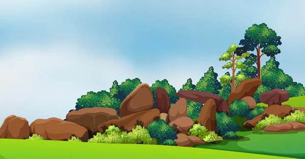 Un bosque con grandes rocas — Vector de stock