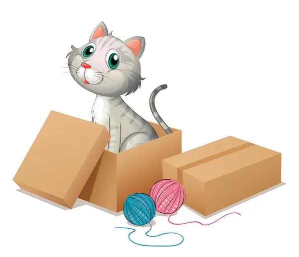 Un gato dentro de la caja — Vector de stock