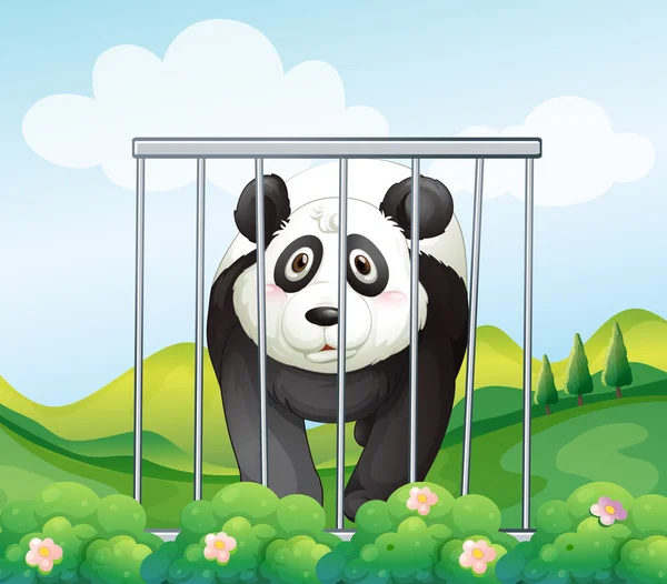 Un panda dentro de la jaula — Vector de stock