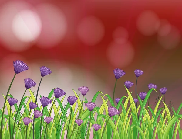 美しい花と紙 — ストックベクタ