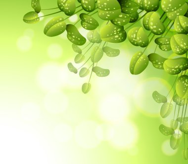 A stationery with green plants