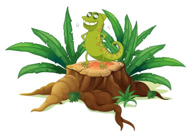 Yeşil iguana bir gövde üzerinde