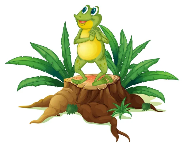 A frog standing above a trunk — Stock Vector