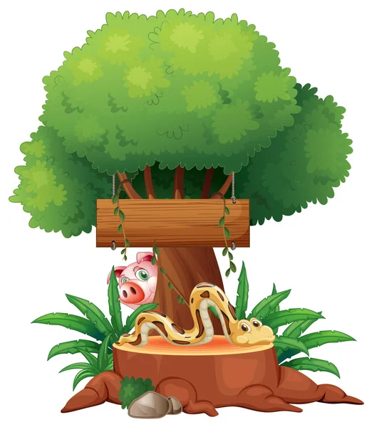 A snake with a wooden signboard and a pig at the back — Stock Vector