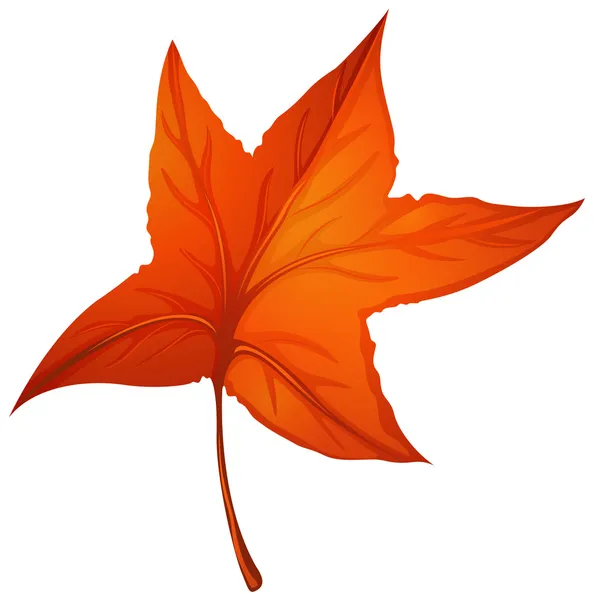 Ein sternförmiges Herbstblatt — Stockvektor