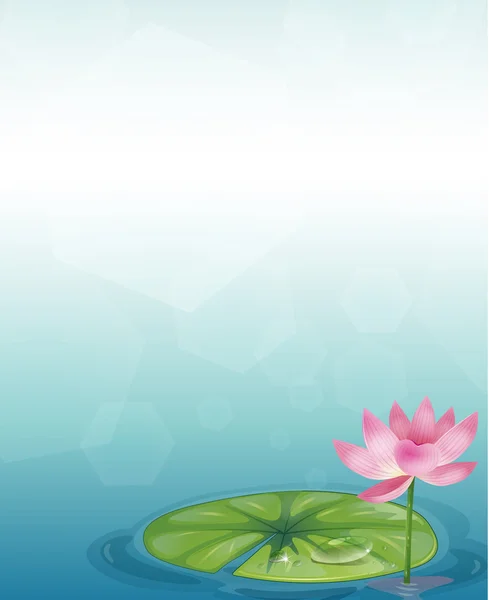 Een briefpapier met een waterlily en een roze bloem — Stockvector