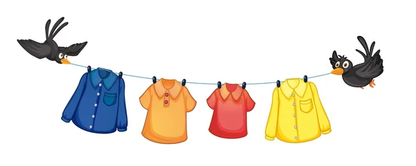 Quatre vêtements différents suspendus avec des oiseaux — Image vectorielle