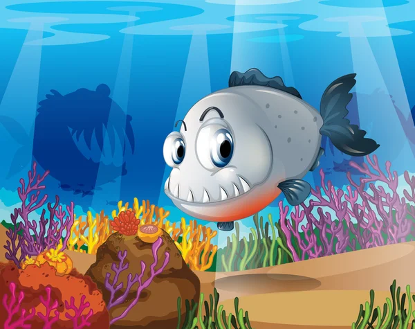 A piranha near the coral reefs — Stock Vector