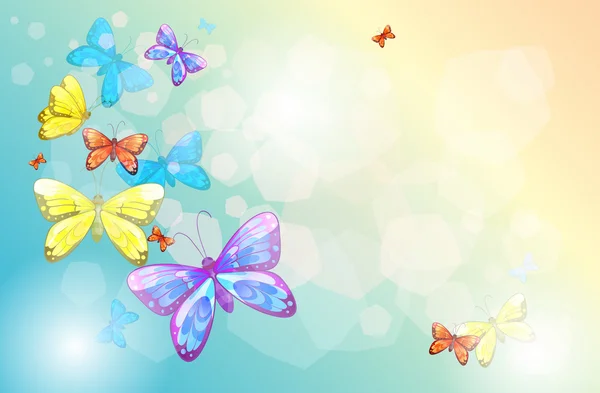 Papelería vacía con mariposas — Vector de stock