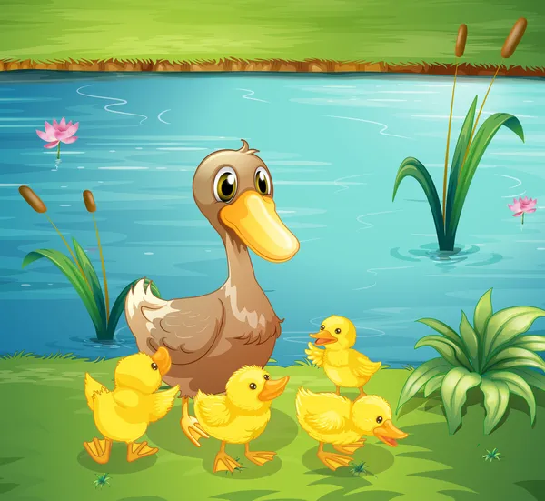 A mother duck with her ducklings in the river — Stock Vector