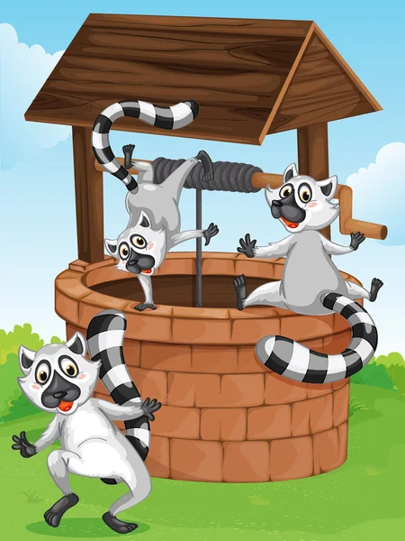 Three lemurs at the man-made well — Stock Vector