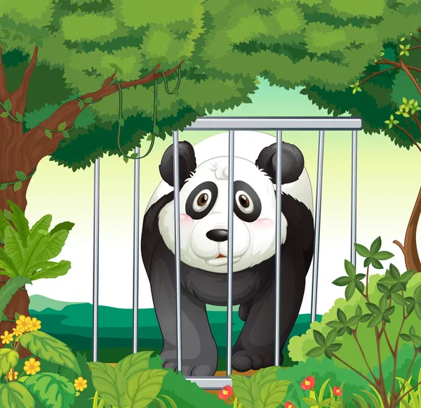 Een forest met een panda in een kooi — Stockvector