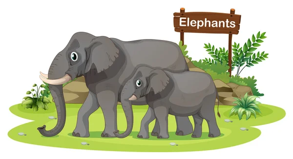 Två elefanter nära skylt — Stock vektor