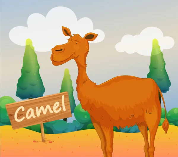 A camel with a wooden signboard — Stock Vector